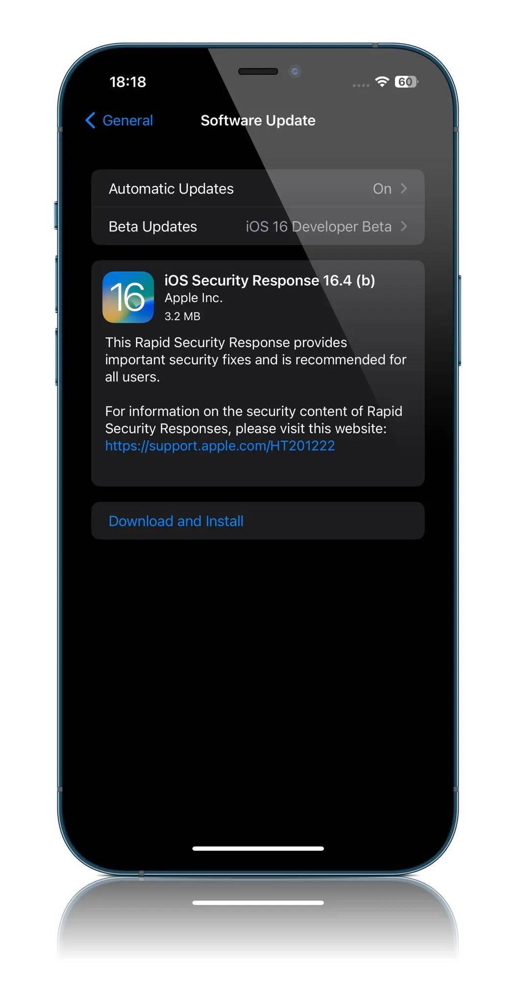 街头角斗士二苹果版:苹果向iOS 16.4 / macOS 13.3 Beta推送第二个快速安全响应更新