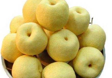 苹果缩小版的水果
:烟台的苹果砀山的梨！国内水果出名的地区，你的家乡在榜吗？